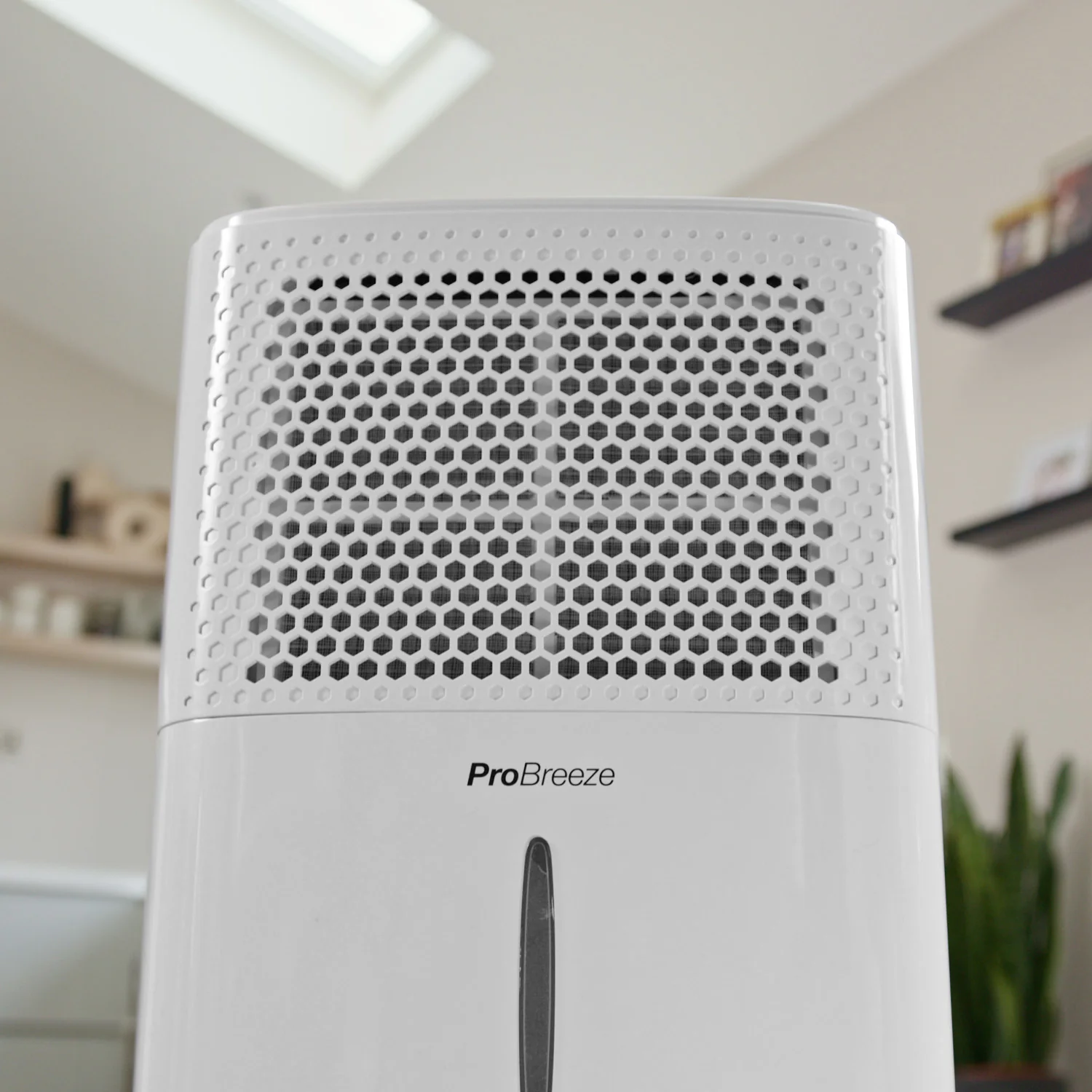 Refurbished - 12L Dehumidifier with Built-in Humidistat - Image 3